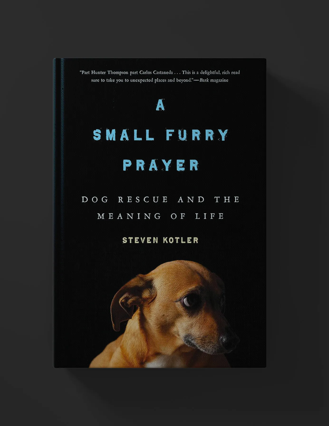 Steven Kotler Author and Speaker